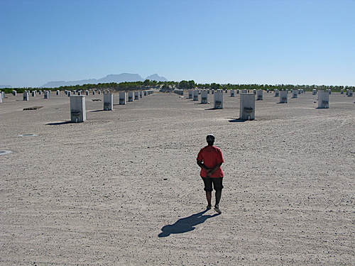 An Anti-Eviction Campaign activist gazes at the construction site of the Delft transit camp, a 'temporary relocation area' for people evicted from shacks closer to the city. March 2009. Credit: Kerry Ryan Chance