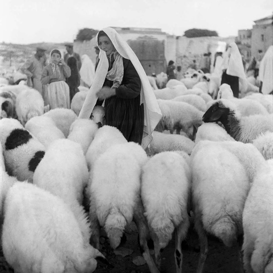 Yildiz Moran (Turkey), Mother, 1956.