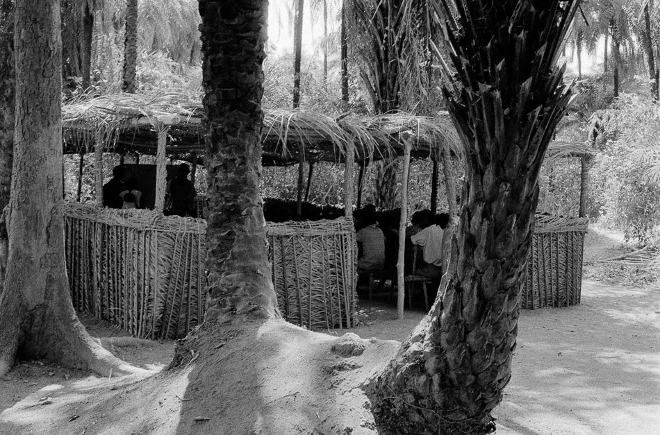 A makeshift PAIGC school in the liberated areas built with leaves and branches, hidden under trees to avoid being spotted by aircrafts, 1974. Source: Roel Coutinho, Guinea-Bissau and Senegal Photographs (1973–1974)